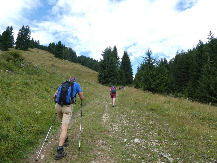 img00193.jpg