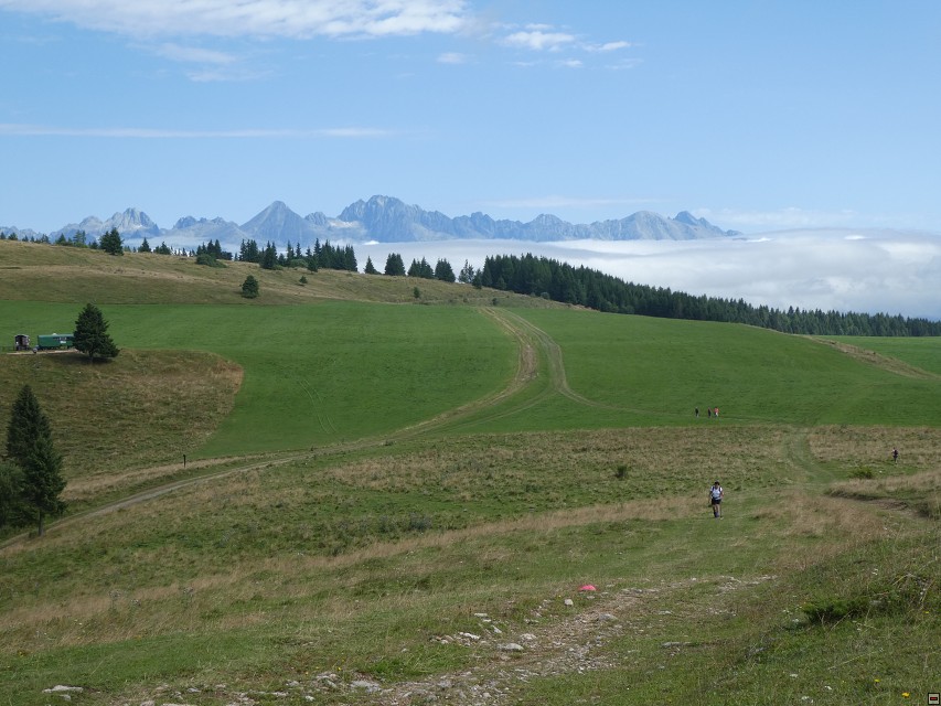 img00195.jpg