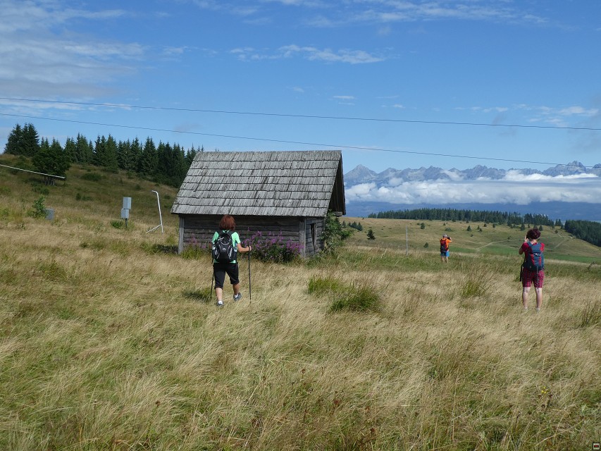img00196.jpg