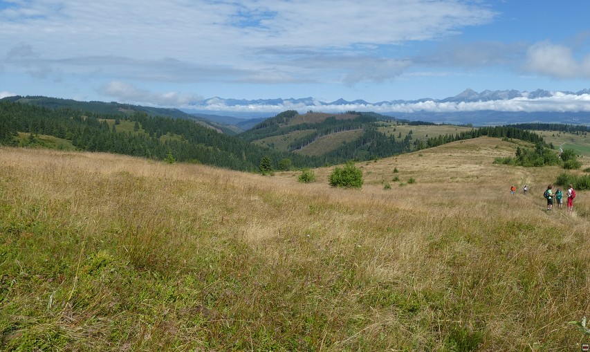img00197.jpg