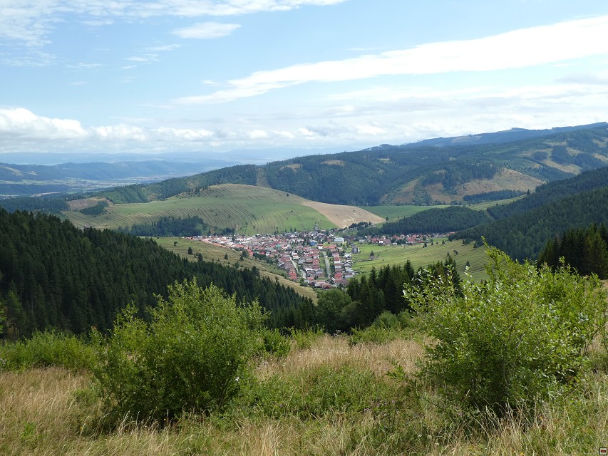 img00203.jpg