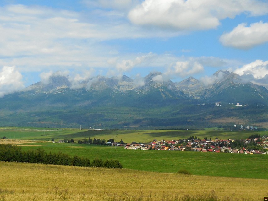img00206.jpg