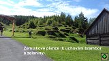 thn00182.jpg