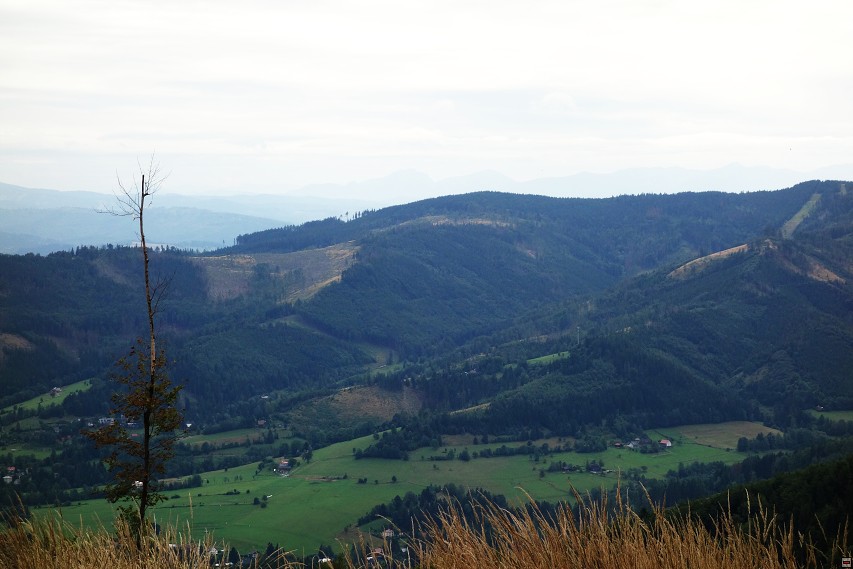 img00012.jpg
