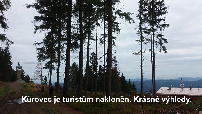 img00014.jpg