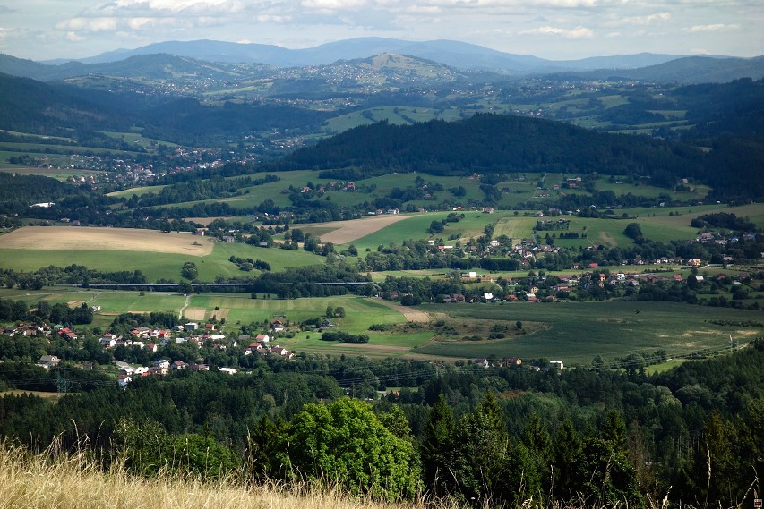 img00020.jpg