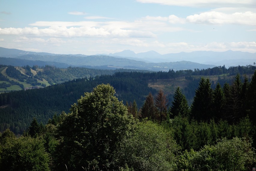 img00023.jpg