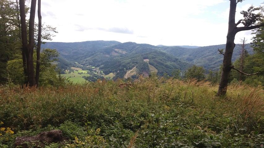 img00024.jpg