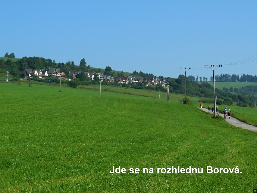 img00011.jpg