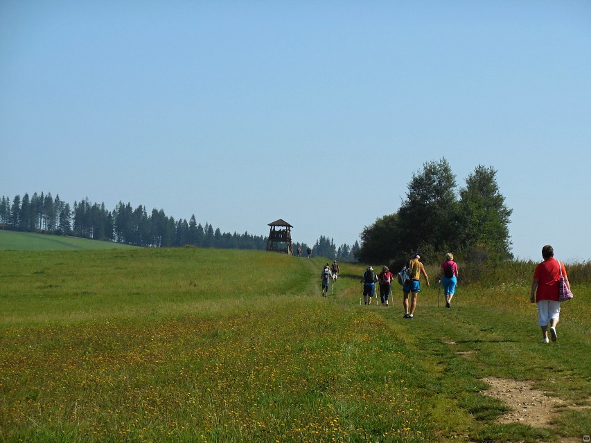 img00012.jpg
