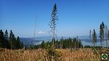 thn00024.jpg