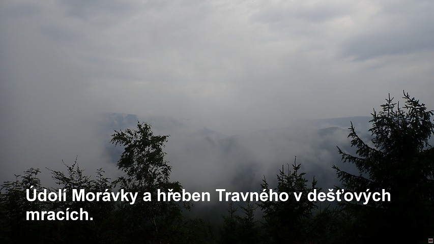 img00008.jpg