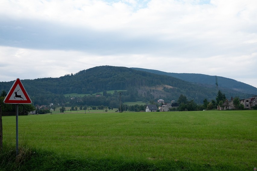 img00015.jpg
