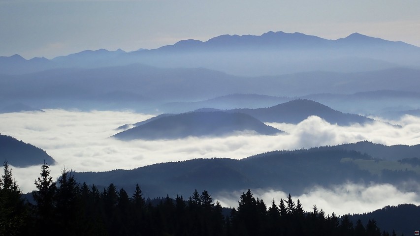 img00007.jpg