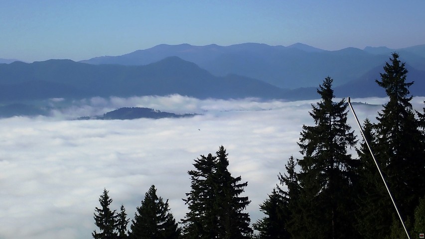 img00008.jpg