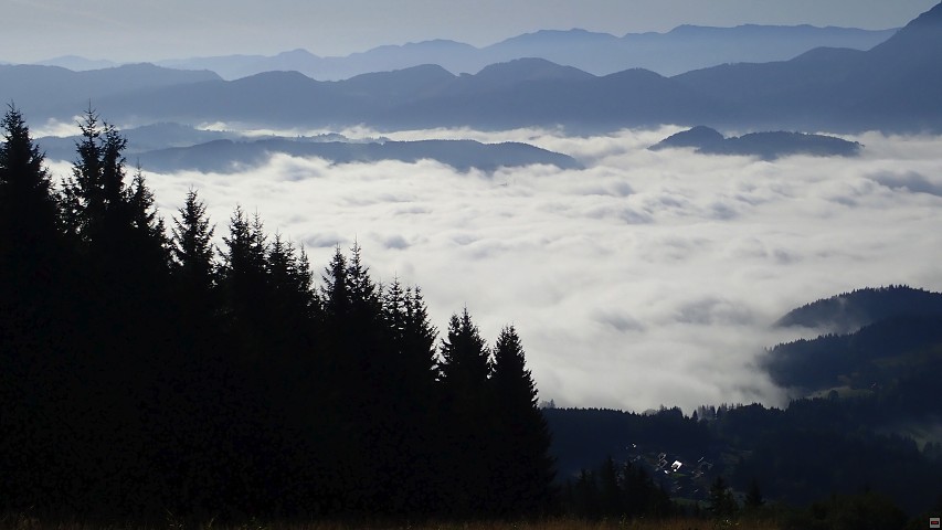 img00009.jpg