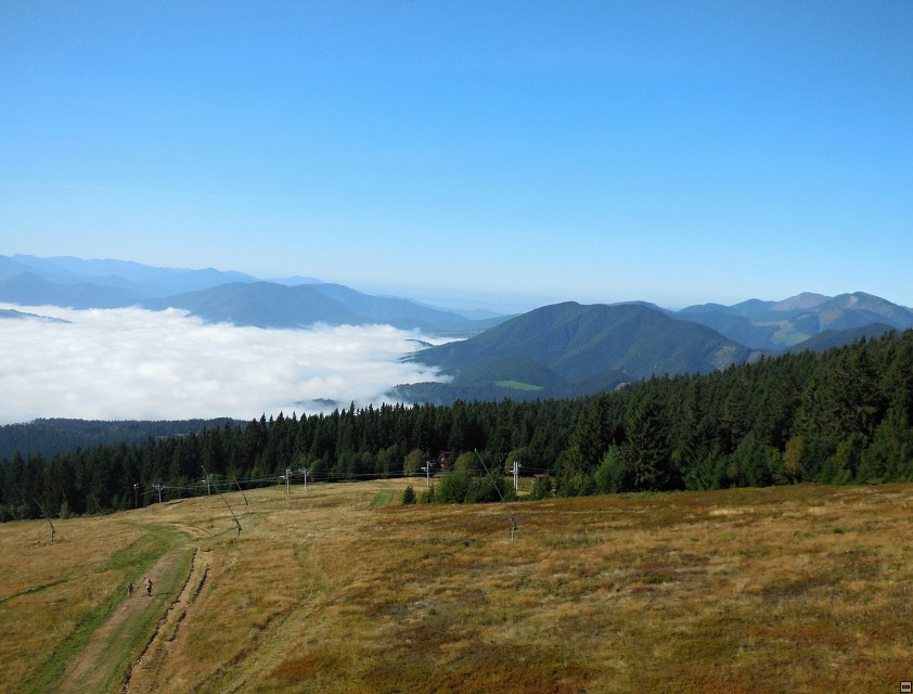 img00015.jpg