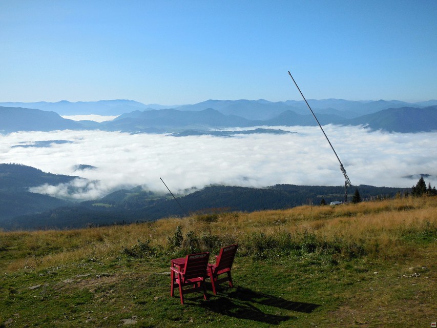 img00016.jpg