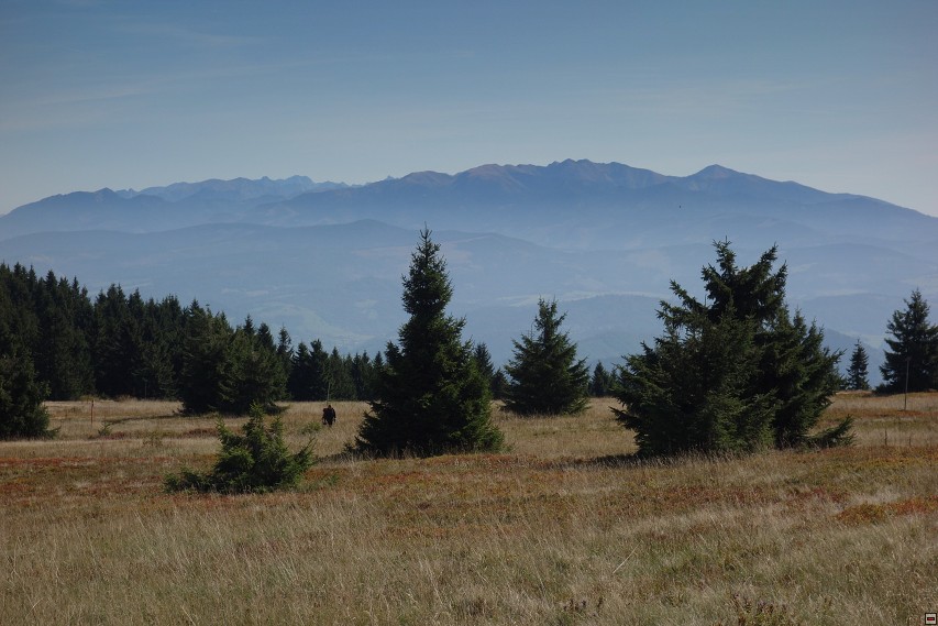 img00026.jpg