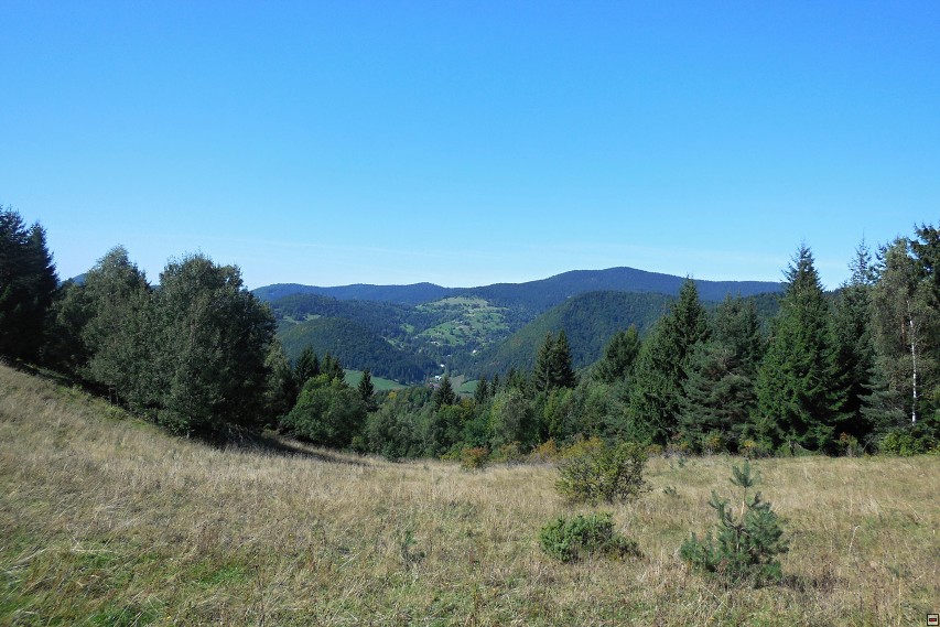 img00038.jpg