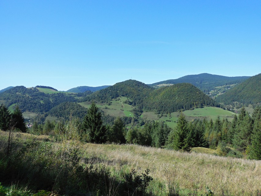 img00043.jpg