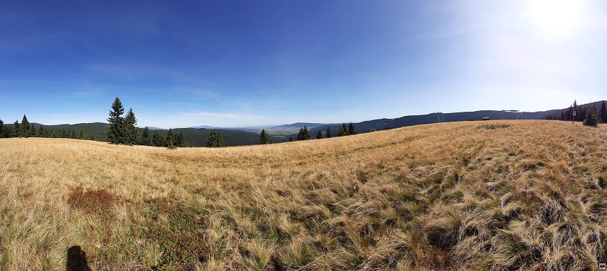 img00050.jpg