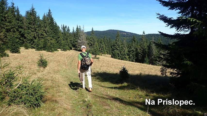 img00051.jpg
