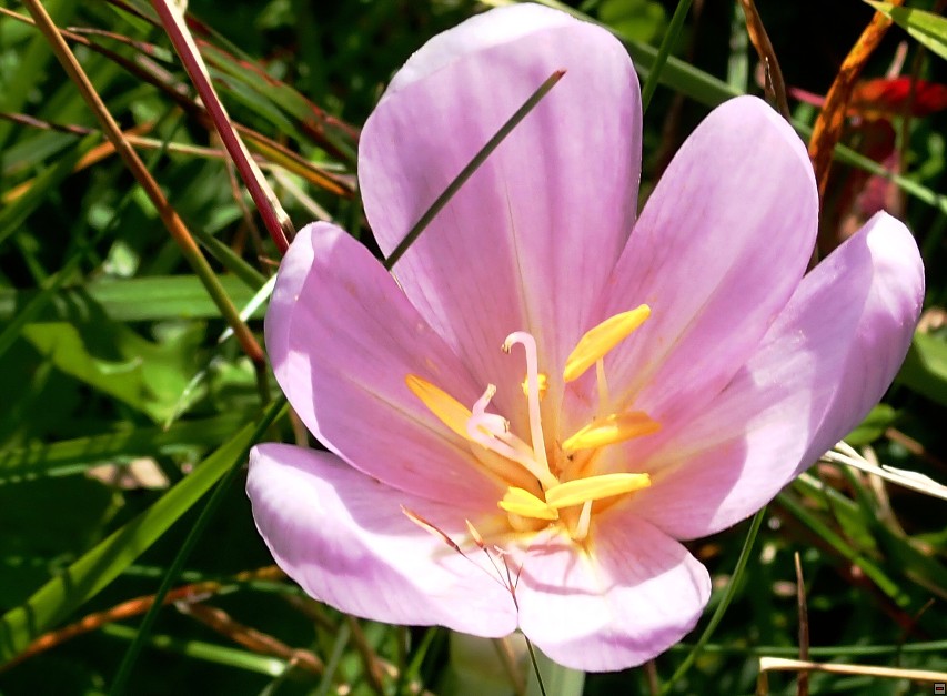 img00065.jpg