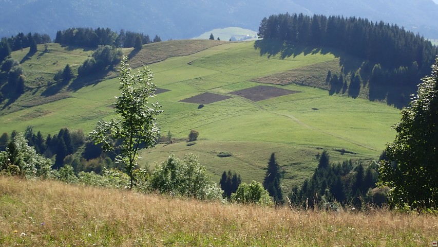 img00068.jpg