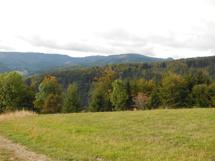 img00005.jpg