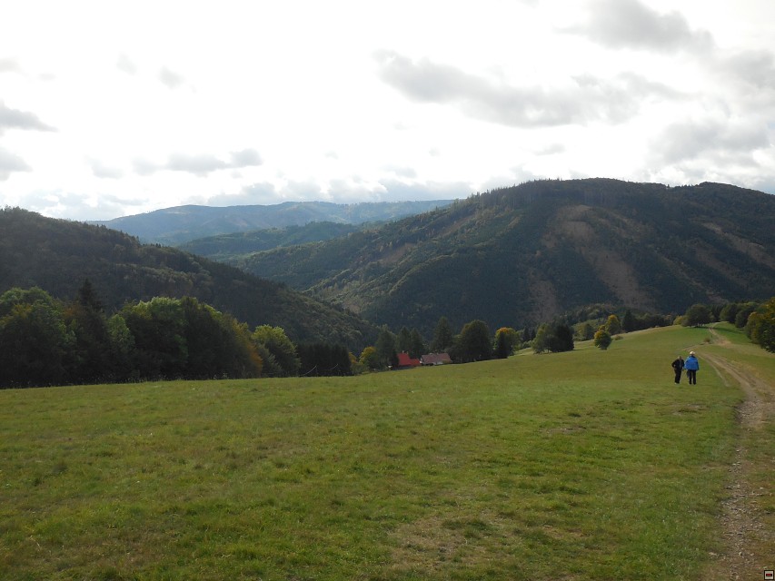 img00006.jpg