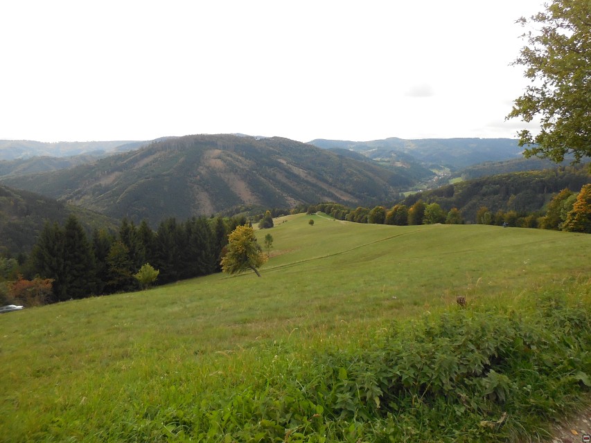 img00007.jpg