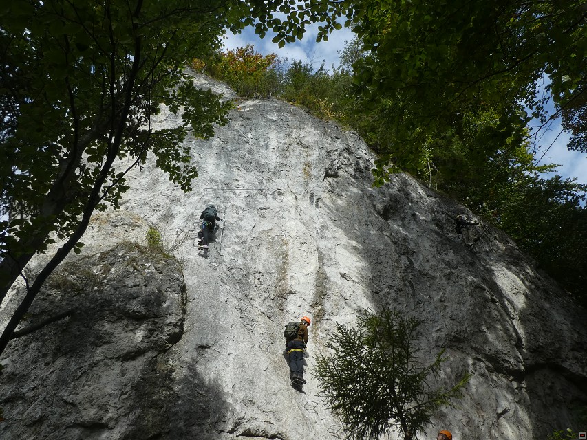 img00019.jpg