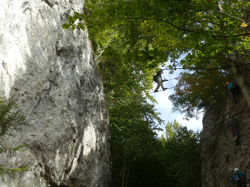 img00020.jpg