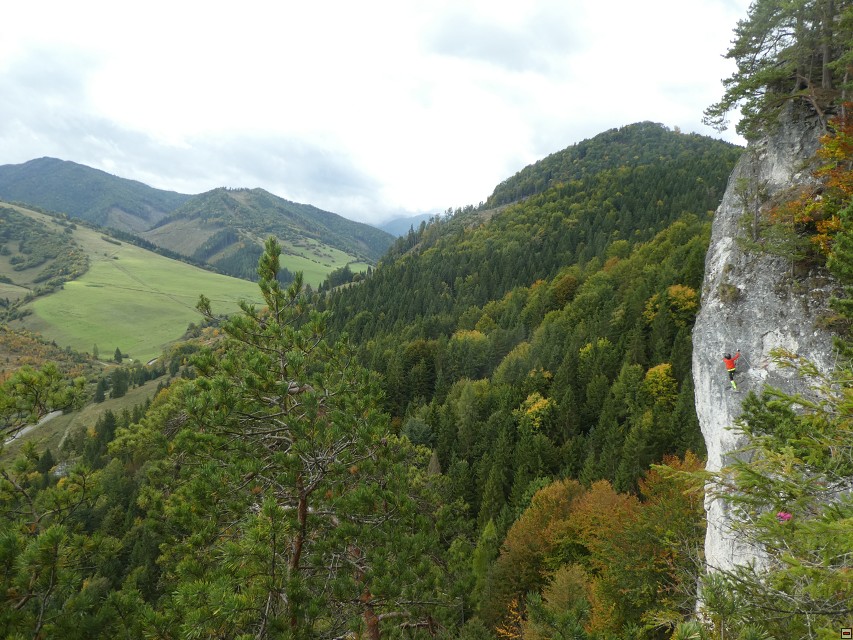 img00028.jpg