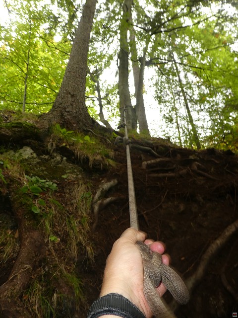 img00029.jpg