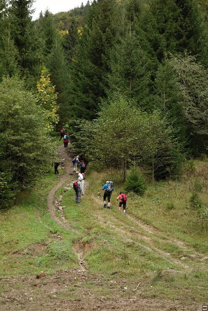img00002.jpg