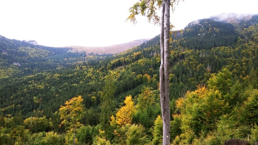 img00008.jpg