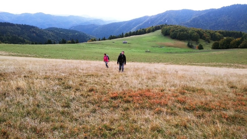 img00010.jpg