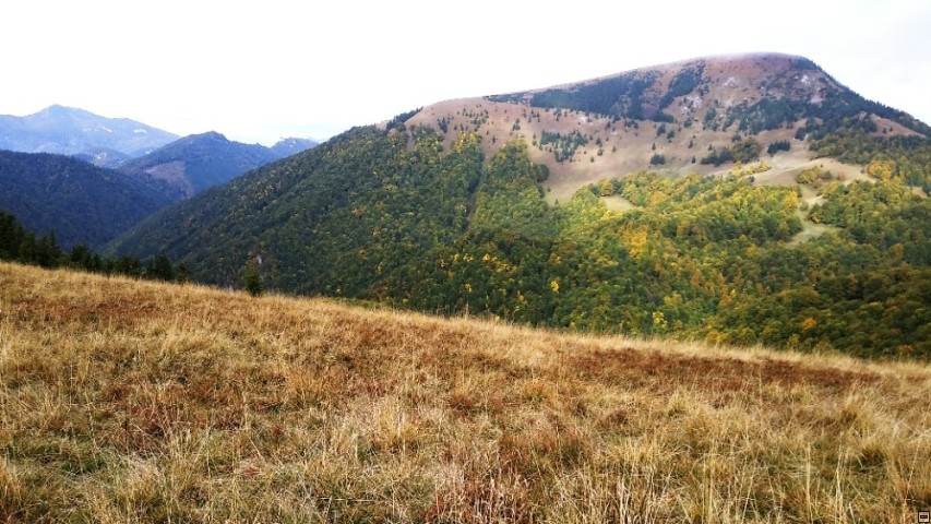 img00011.jpg