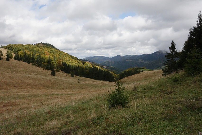 img00028.jpg