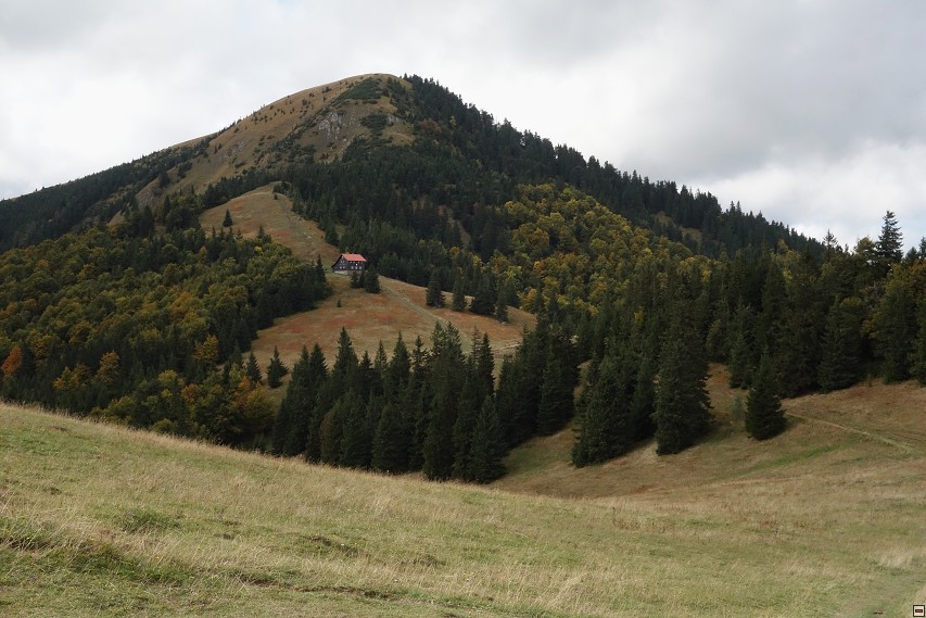 img00029.jpg