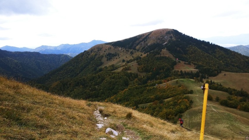 img00031.jpg