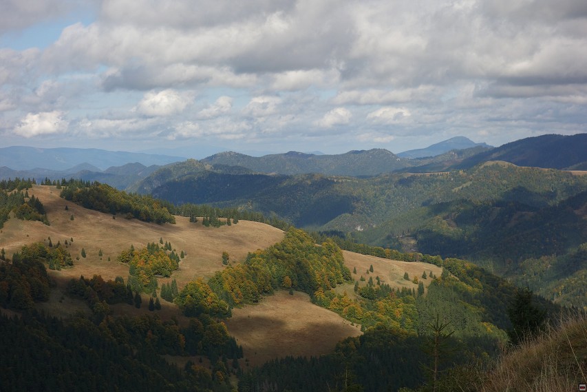 img00033.jpg