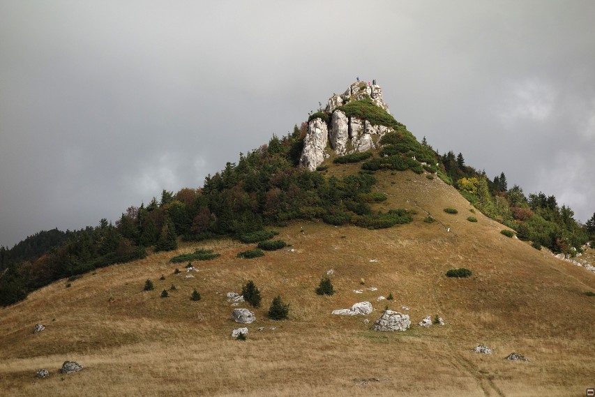 img00038.jpg
