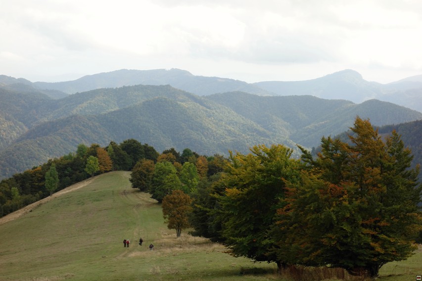 img00039.jpg