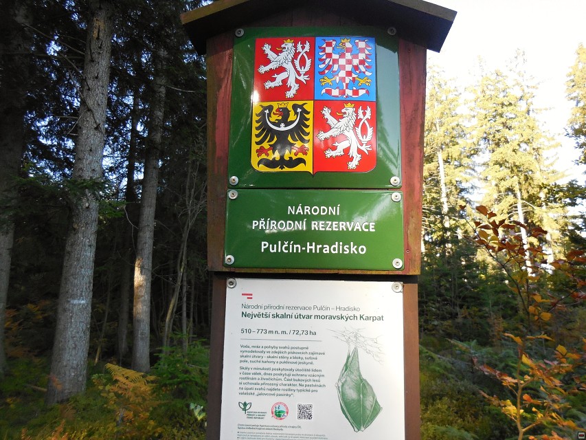 img00004.jpg