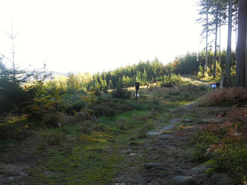 img00005.jpg