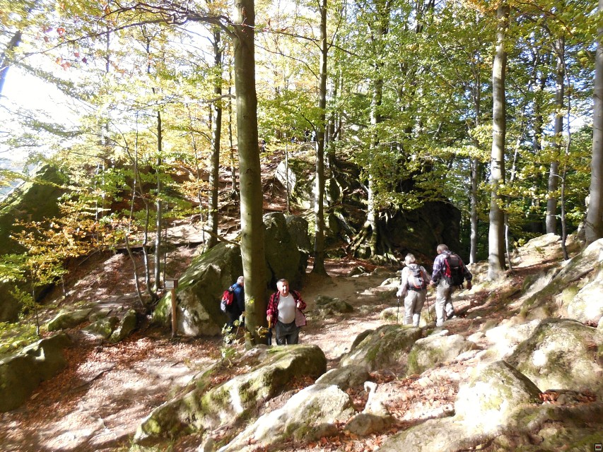 img00011.jpg