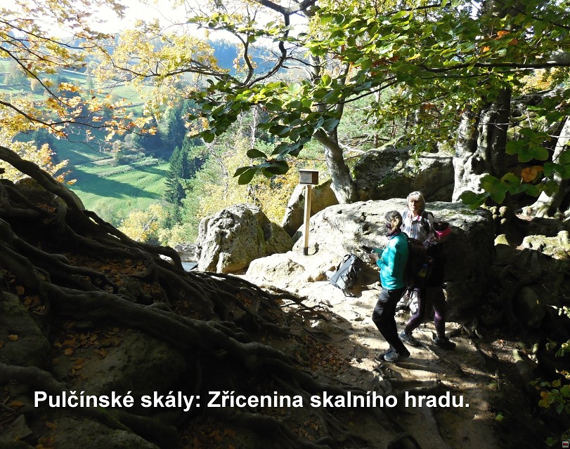 img00012.jpg